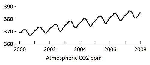 CO2 Seasonal Variations