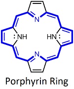 Porphyrin Ring