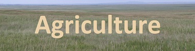 Agriculture