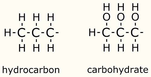 hydrocarbon and carbohydrate