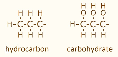 hydrocarbon and carbohydrate