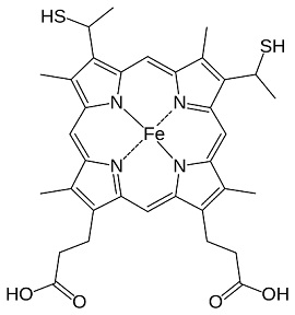 Cytochrome C