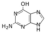 guanine